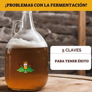 Lee más sobre el artículo 5 CLAVES PARA FERMENTAR CON ÉXITO TU CERVEZA